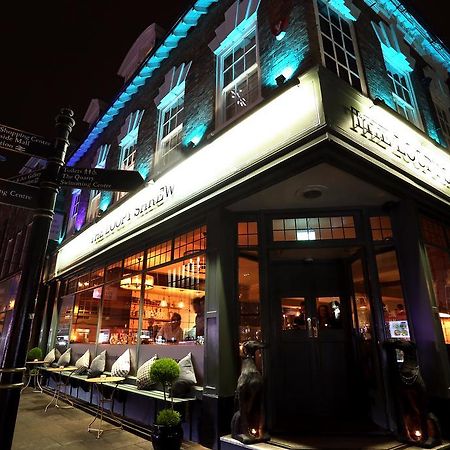The Loopy Shrew Hotell Shrewsbury Exteriör bild
